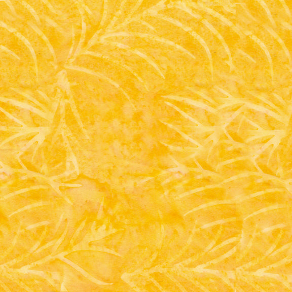 Bliss - Palm - Lemonade