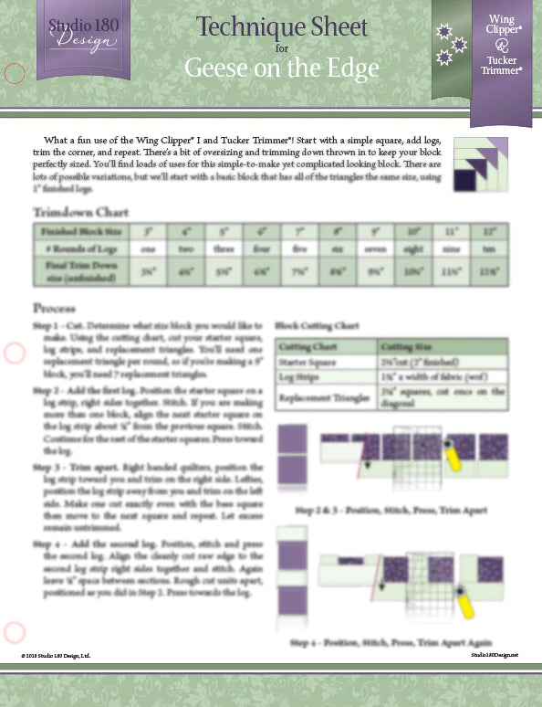 Technique Sheet: Geese on the Edge