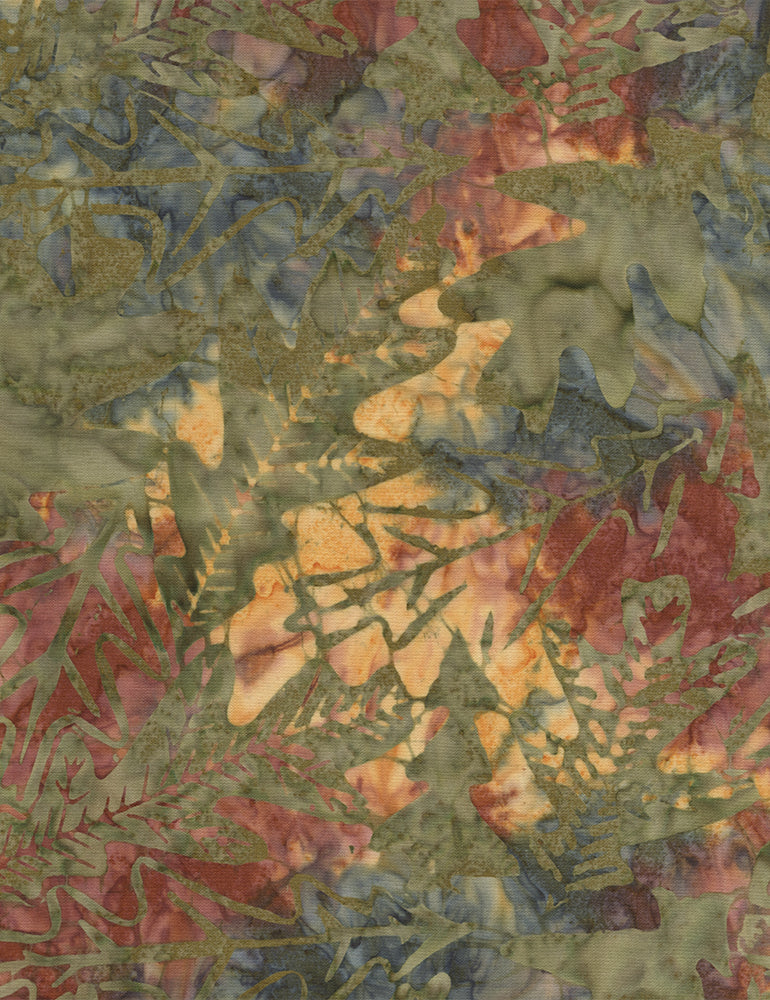 Forest Floor - Nature