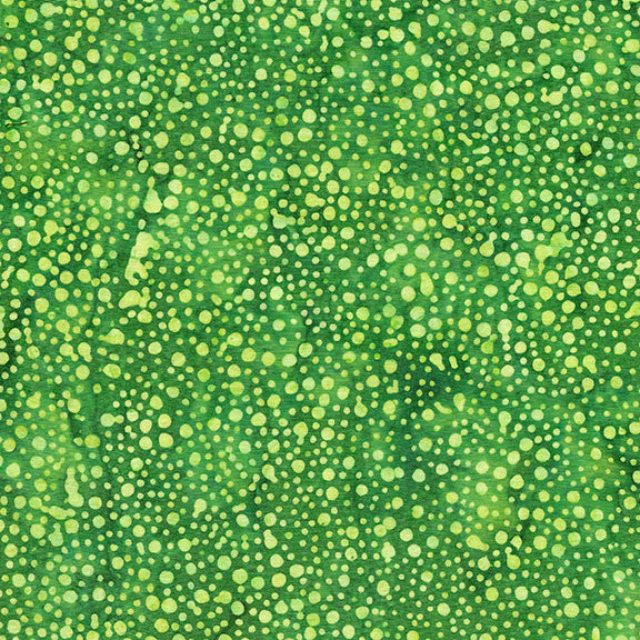 Williams Garden - Dots - Gecko