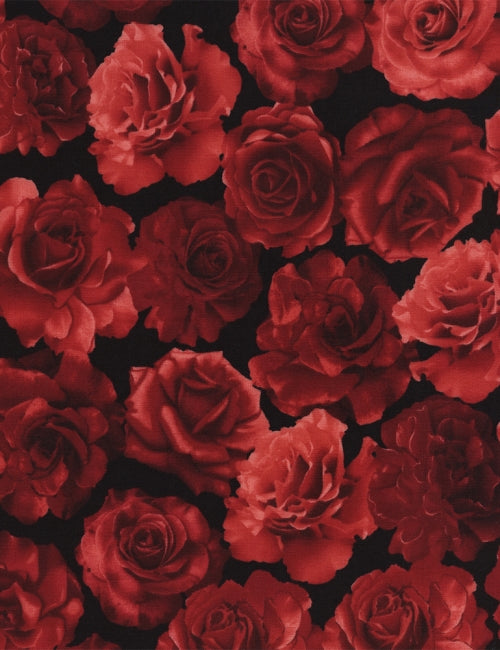 Rose Garden - Rose - Black