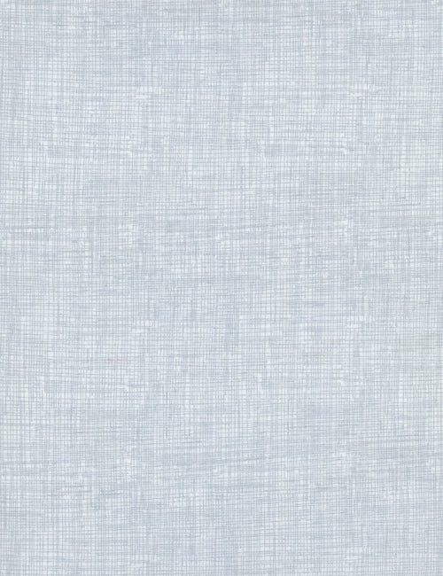 Basics - Screen Texture - Mist