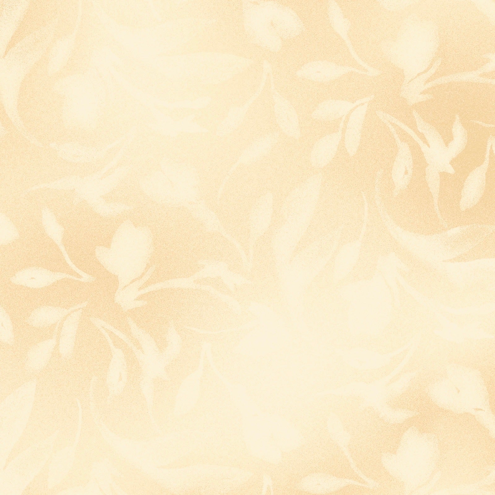 Paradise - Diffused Tonal - Ecru Cream