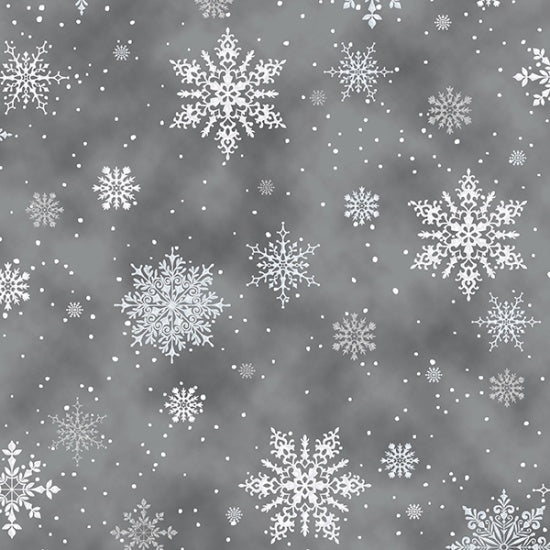 A Winters Sky - Snowflake - Silver