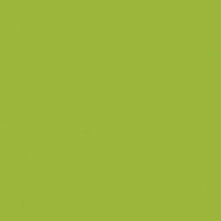 American Made Solids - Light Olive