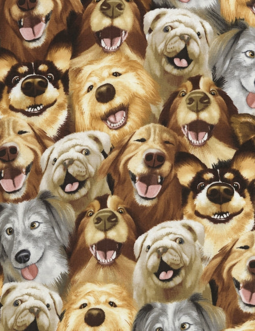 Selfie Dogs