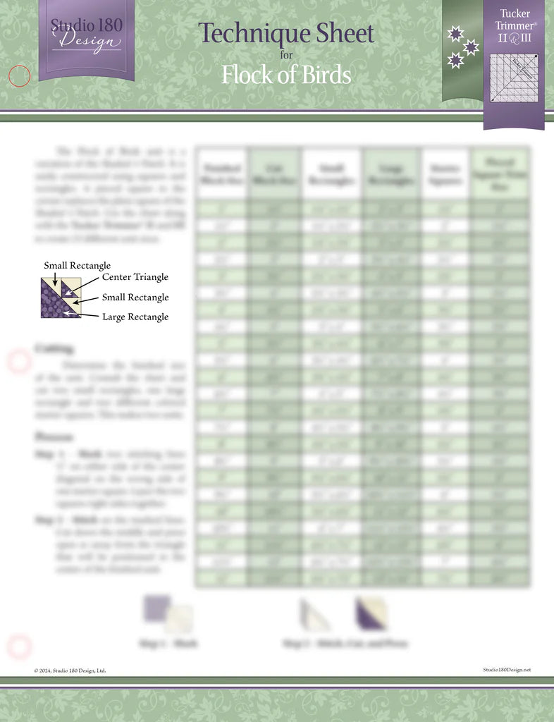 Technique Sheet: Flock of Birds