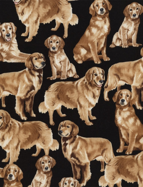 Golden Retrievers